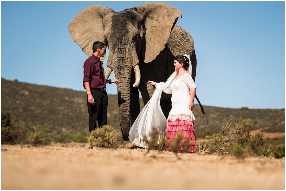 garden-route-wedding-indalu-lodge-fannie-and-joyce-couple-shoot-4